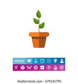 Potted plant