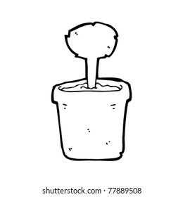 planta de maceta