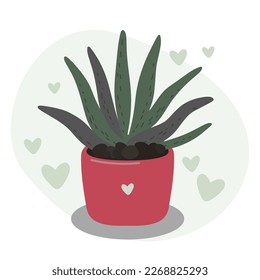 Potted plant. Aloe in a flower pink pot. Succulent, cactus. Hearts. Vector illustration