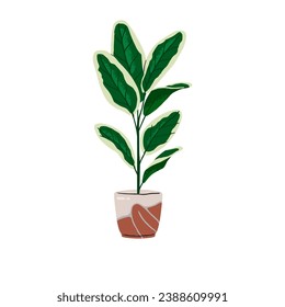 Potted plant with big patterned leaves. Exotic houseplant in ceramic pot. Dieffenbachia growing in frowerpot. Home flower, interior decoration. Flat isolated vector illustration on white background