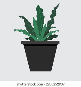 potted plant cartoon background vector
