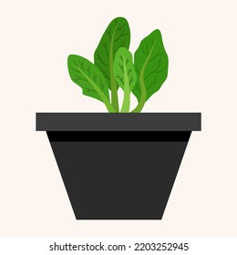 vector de fondo de dibujos animados en macetas. vector de iconos de planta plana