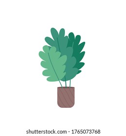 Potted plant cartoon vector illustration. Natural homeplant in flowerpot. Decorative indoor flower for home and office. Houseplant flat color object. Interior decoration isolated on white background