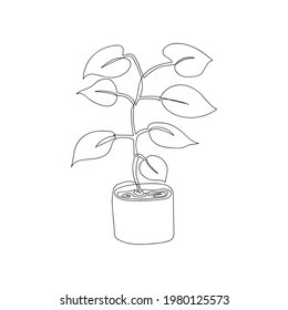 Potted plant continuous line vector illustration on white background