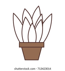 potted plant decoration interior natural element