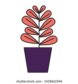 potted plant decoration on white background vector illustration