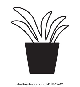 potted plant decoration on white background vector illustration