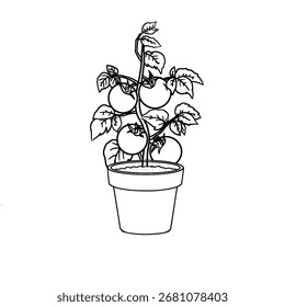 Planta en maceta con fruta densa