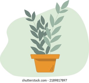 planta maceta en forma de llano