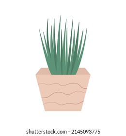 Potted plant in flat style. House plant in pot or planter. Vector illustration isolated on white background