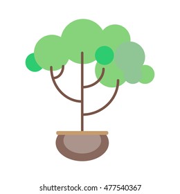 Potted plant in a flat style on a white background. Decorative tree. Vector illustration.