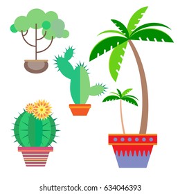 Potted plant in a flat style on a white background. Blooming cactus. Decorative tree. Palm. Vector illustration.