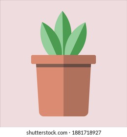 Potted plant flat vector illustration