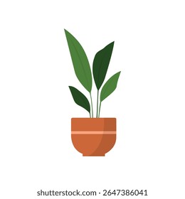 Potted plant flat vector illustration. Minimal indoor houseplant in pot, isolated on white background. Ideal for gardening, botanical themes, and home decor design projects.
