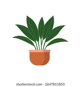 Potted plant in flat vector style. Decorative indoor plant with rounded foliage in a modern pot, isolated on white background. Great for botanical decor and minimalist designs.