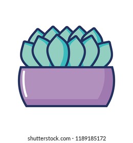 potted plant floral decoration natural
