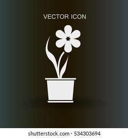 potted plant flower icon vector illustration