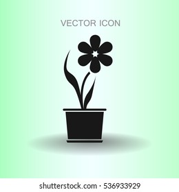 potted plant flower icon vector illustration