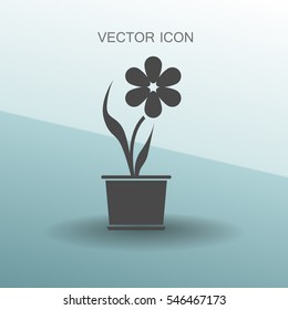 potted plant flower icon vector illustration