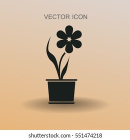 potted plant flower icon vector illustration