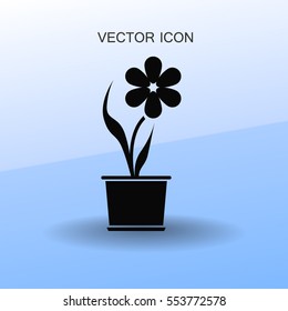 potted plant flower icon vector illustration