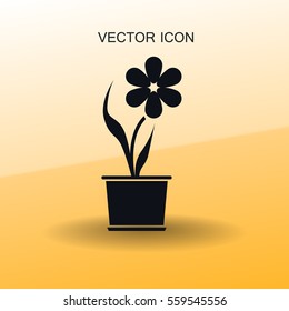 potted plant flower icon vector illustration