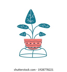 potted plant garden decoration isolated