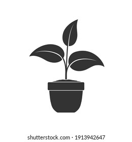 Potted plant graphic icon. House plant in the pot sign isolated on white background. Vector illustration