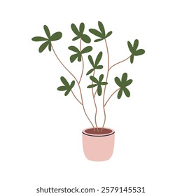 Potted plant with green leaf. Indoor houseplant. Home interior greenery, tree growing in floor planter. Fresh natural foliage decoration. Flat vector illustration isolated on white background