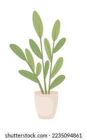 Potted plant with green leaves semi flat color vector object. Editable elements. Full sized items on white. Houseplant care simple cartoon style illustration for web graphic design and animation