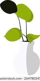 Potted Plant with Green Leaves in White Vase