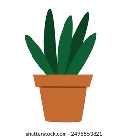 Potted plant growing in planter. Interior houseplant in flowerpot. Indoor green succulent, fresh natural home decoration with big leaves. Flat vector illustration isolated on white background