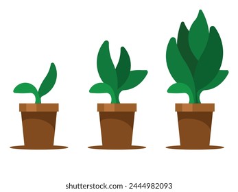 Potted plant growth steps. Vector graphics