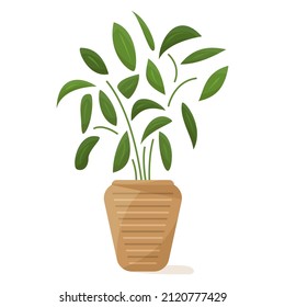Potted plant for home and office. A houseplant, many small dense leaves. Ceramic flower pot with decor. Vector icon, cartoon, isolated