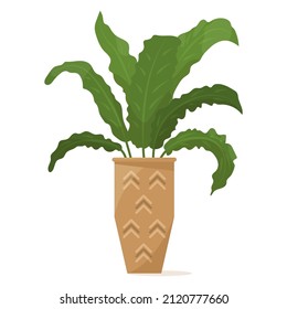 Potted plant for home and office. A houseplant, many leaves, dense bush. Ceramic flower pot with decor. Vector icon, cartoon, isolated