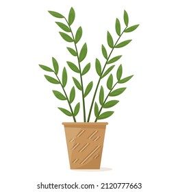 Potted plant for home and office. A houseplant, many small leaves. Ceramic flower pot with decor. Vector icon, cartoon, isolated