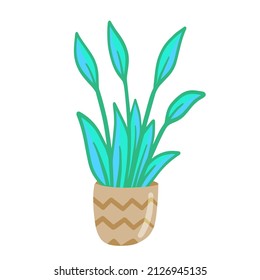 Potted plant. Homemade Blue leaves of houseplant. Gardening and botany. Brown pot and House decoration. Flat illustration