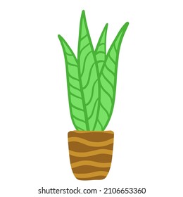 Potted plant. Homemade Green leaves of houseplant. Gardening and botany. Brown pot and House decoration. Flat illustration