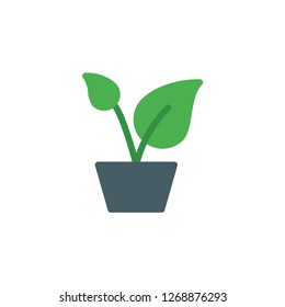 potted plant icon