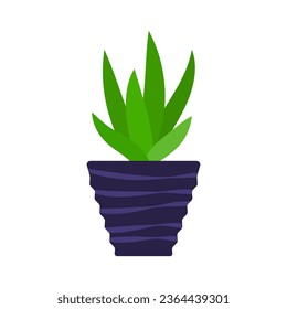 Potted plant icon. Flower. Colored silhouette. Front side view. Vector simple flat graphic illustration. Isolated object on a white background. Isolate.