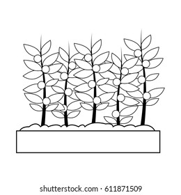 potted plant icon image 
