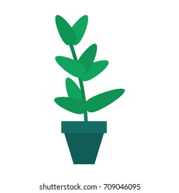 potted plant icon image 