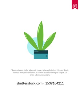 Potted plant icon on white background. Vector template illustration