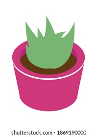 Potted plant icon, room decor element, cartoon vector illustration isolated