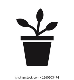 Potted plant icon vector