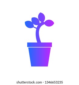 Potted plant icon vector