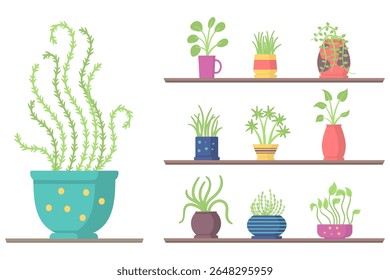 Potted plant illustration. Hand holding flower with leaves in flat cartoon style. Gardening and eco friendly vector element. Nature icon for garden life, love of earth and environmental design.

