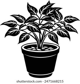 potted plant illustration isolated on white background eps 10