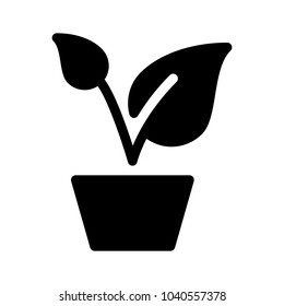 Potted Plant Isolated