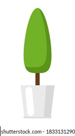 Potted plant. Isolated on white background. Vector illustration.